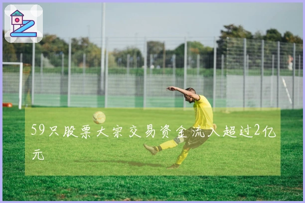 59只股票大宗交易资金流入超过2亿元