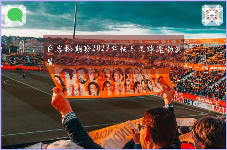 白岩松期盼2023年快乐足球蓬勃发展