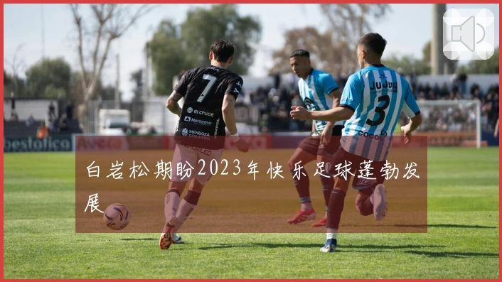 白岩松期盼2023年快乐足球蓬勃发展