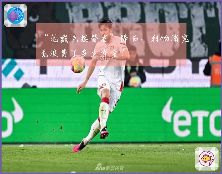 “范戴克接替者”降临，利物浦究竟浪费了多少资金？