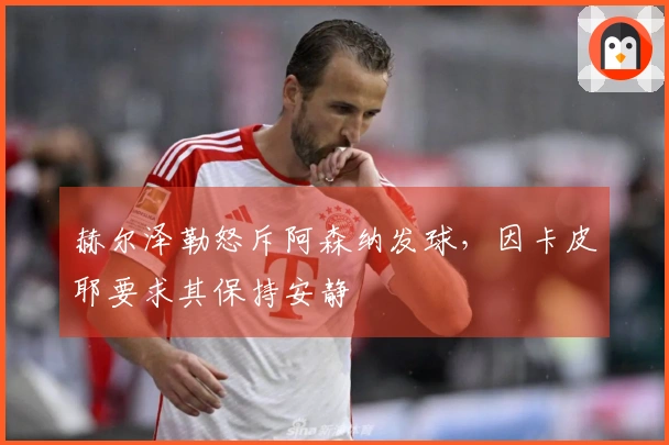 赫尔泽勒怒斥阿森纳发球，因卡皮耶要求其保持安静